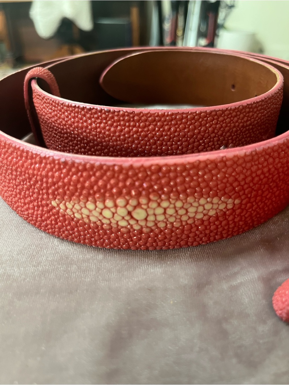 Pat Areias Stingray Belt Strap